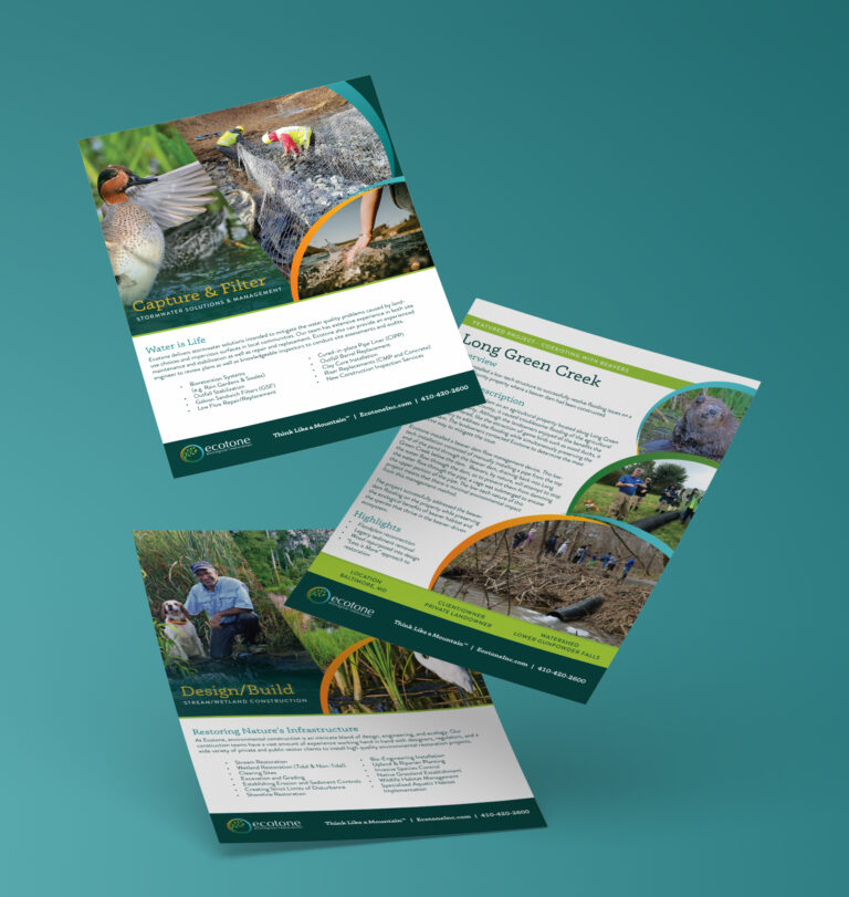 Ecotone Flyer