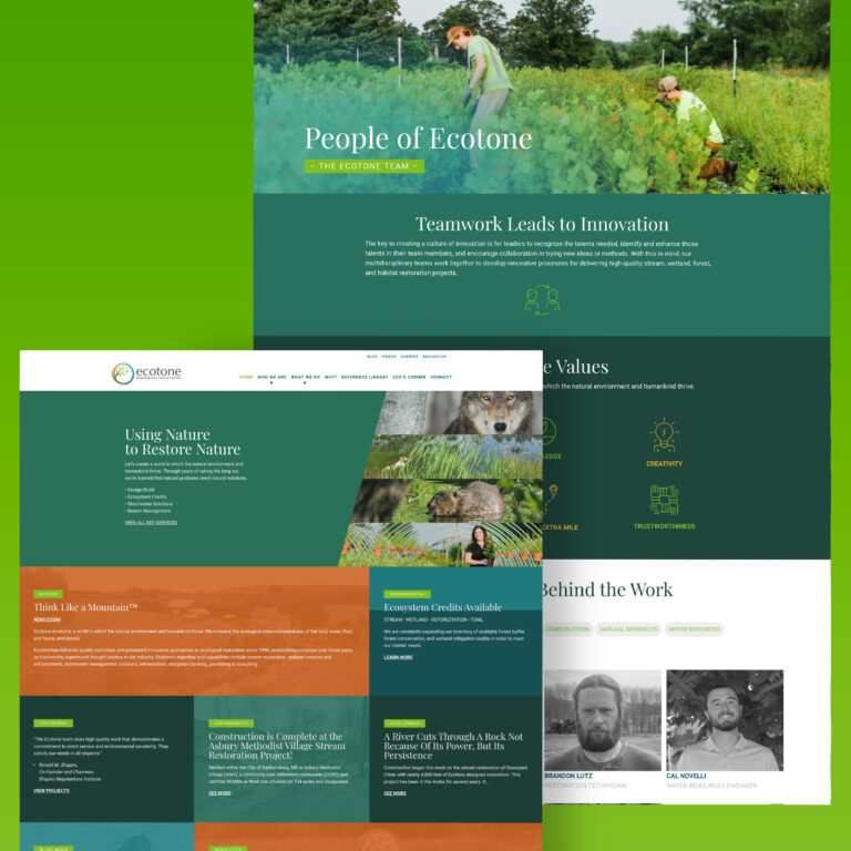 Ecotone Website