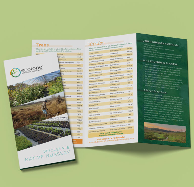 Ecotone Trifold